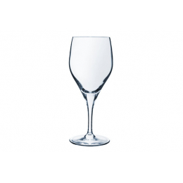 Champagneglas 20cl - 24 stuks